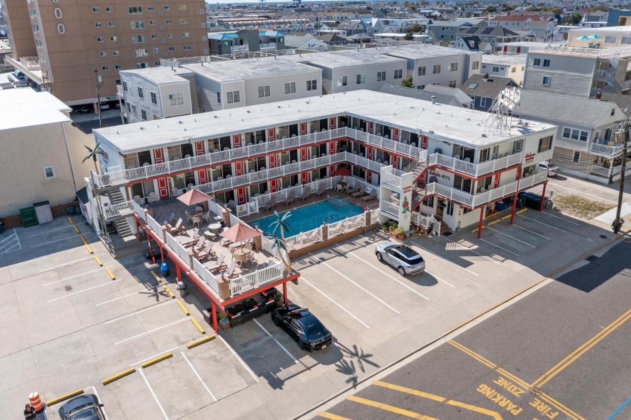 נורת' וויילדווד Sahara Motel מראה חיצוני תמונה
