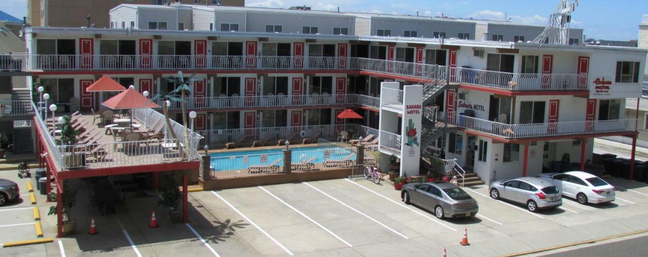 נורת' וויילדווד Sahara Motel מראה חיצוני תמונה